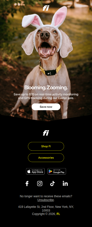 Easter deal: up to $70 off Fi 🐰