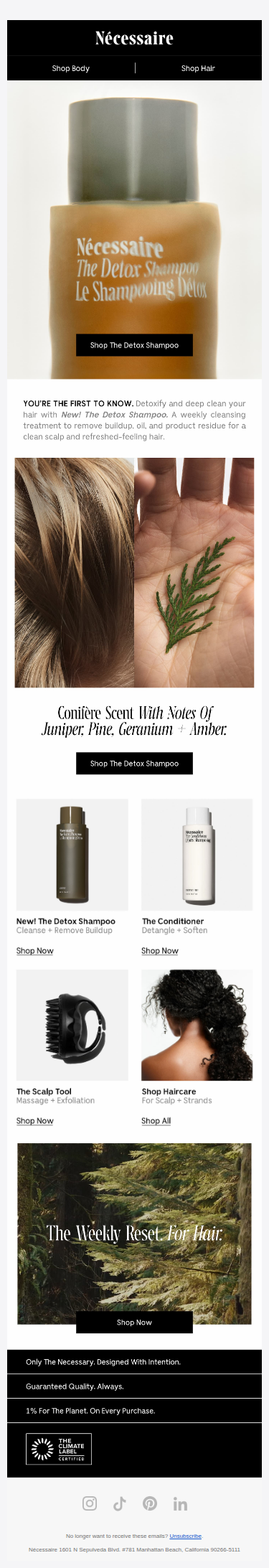 NEW: The Detox Shampoo