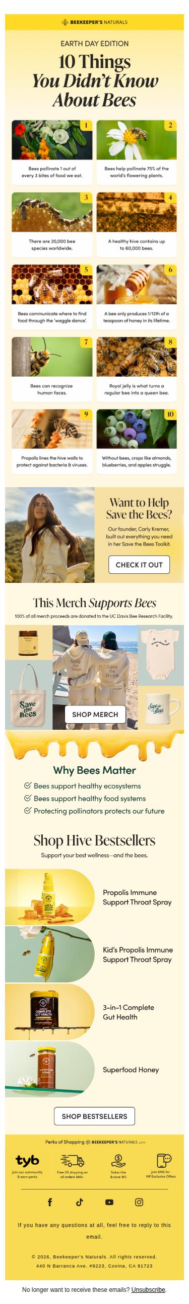 Why We’re Obsessed with Bees (& You Will Be Too) 🐝