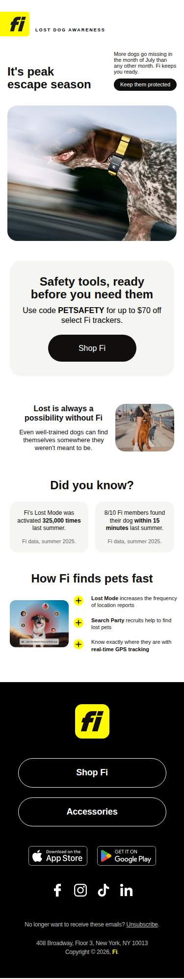 No one expects their dog to get lost